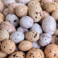 Драже "Перепелиные яйца" Светлые 50 г 